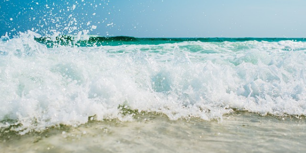 Les indispensables pour préparer l'été